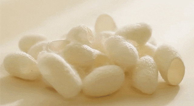 ab370710ee35c755b8c0e5252c334cde.gif