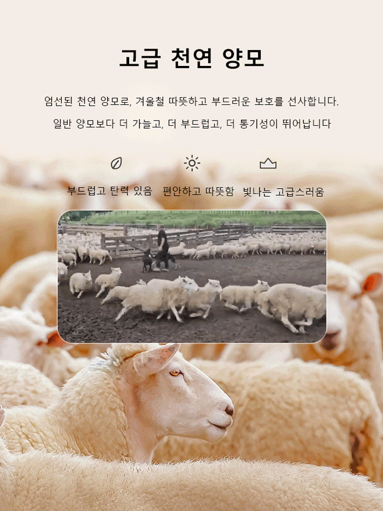 【다리 보정】100% 양모 플리스 슬림핏 하이웨스트 와이드 팬츠