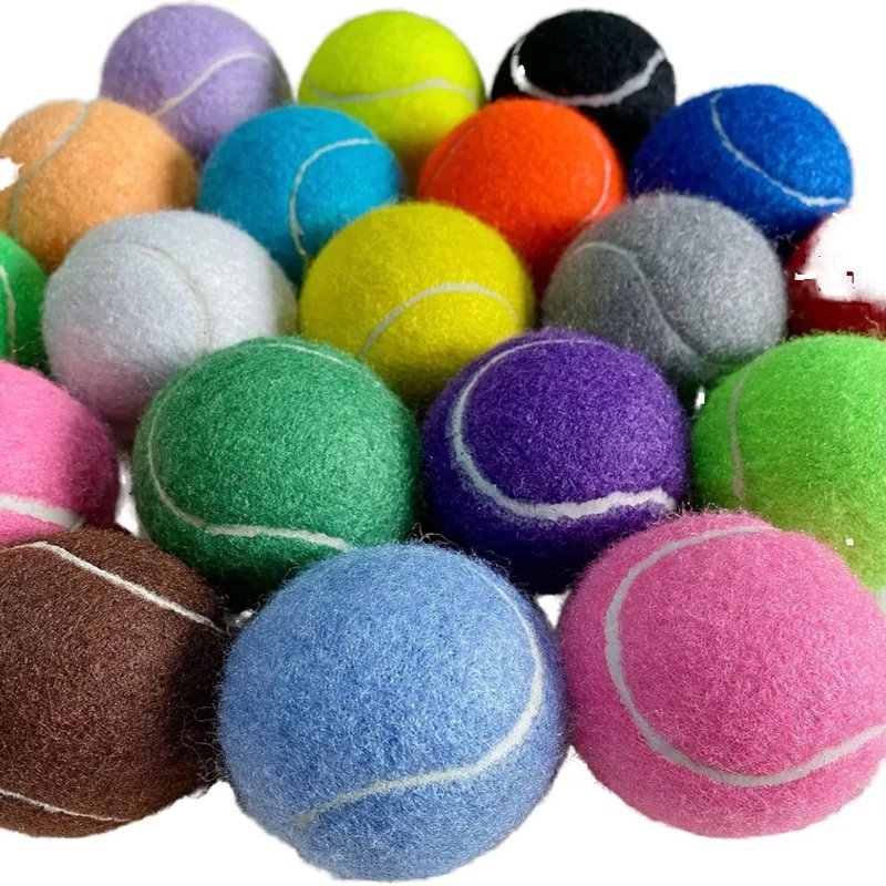 ของเล่นกีฬาฝึกสุนัข