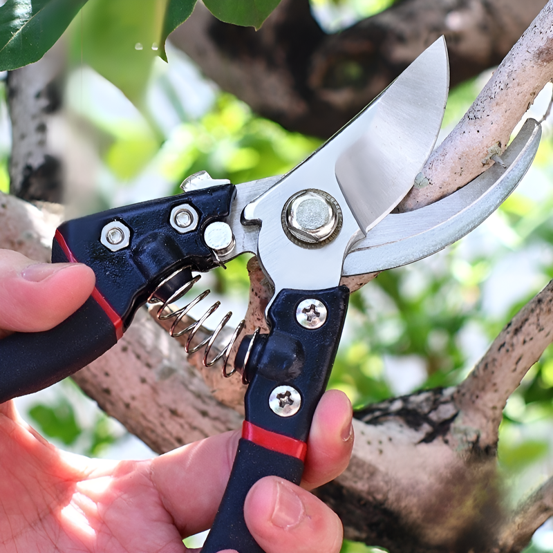 ステンレス製の滑り止め付き剪定鋏