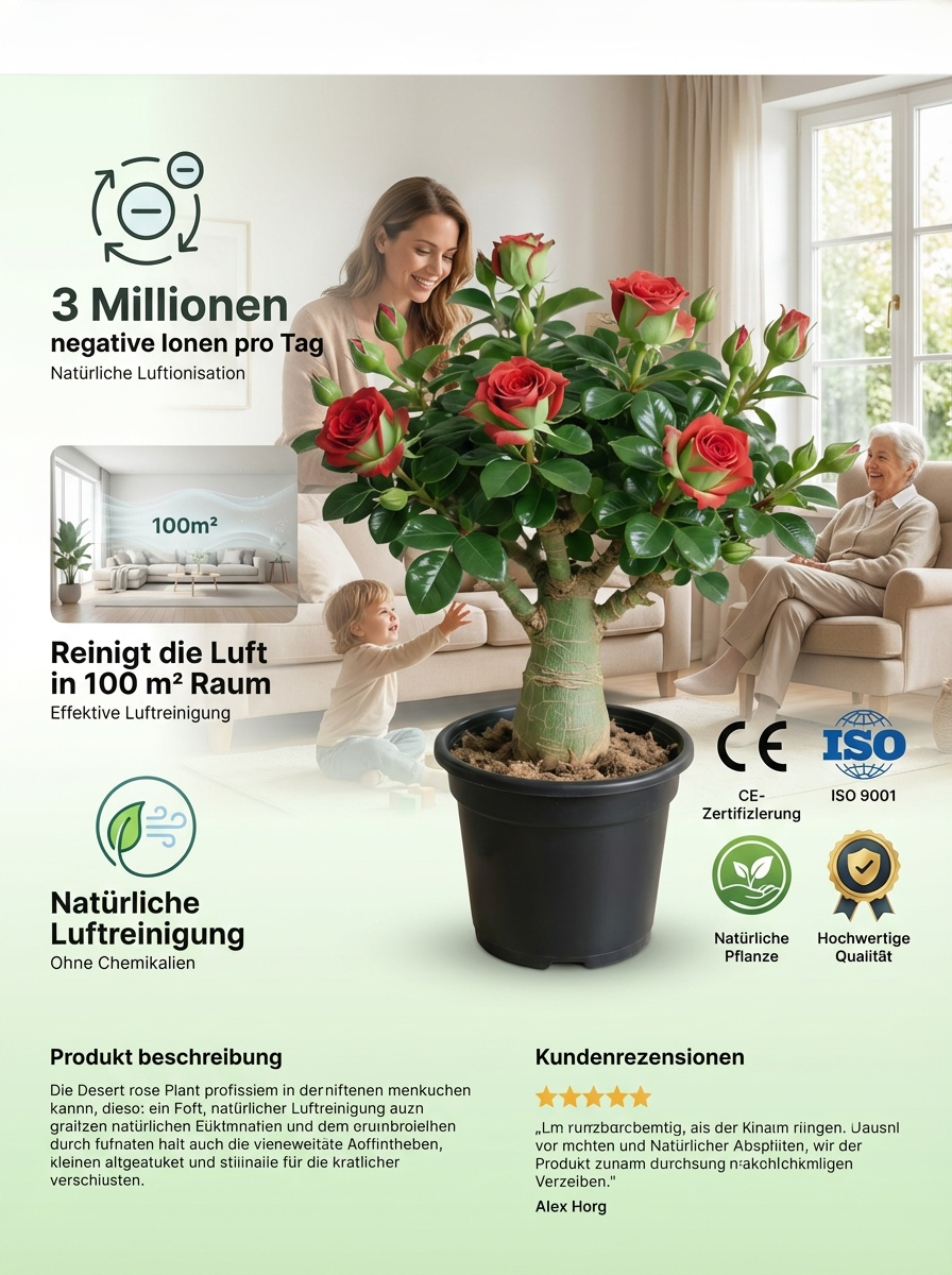 【Mit Wasser gedeiht es 100 Jahre】Wüstenrosen-Zwiebelblume✨️50 % Rabatt für eine begrenzte Zeit
