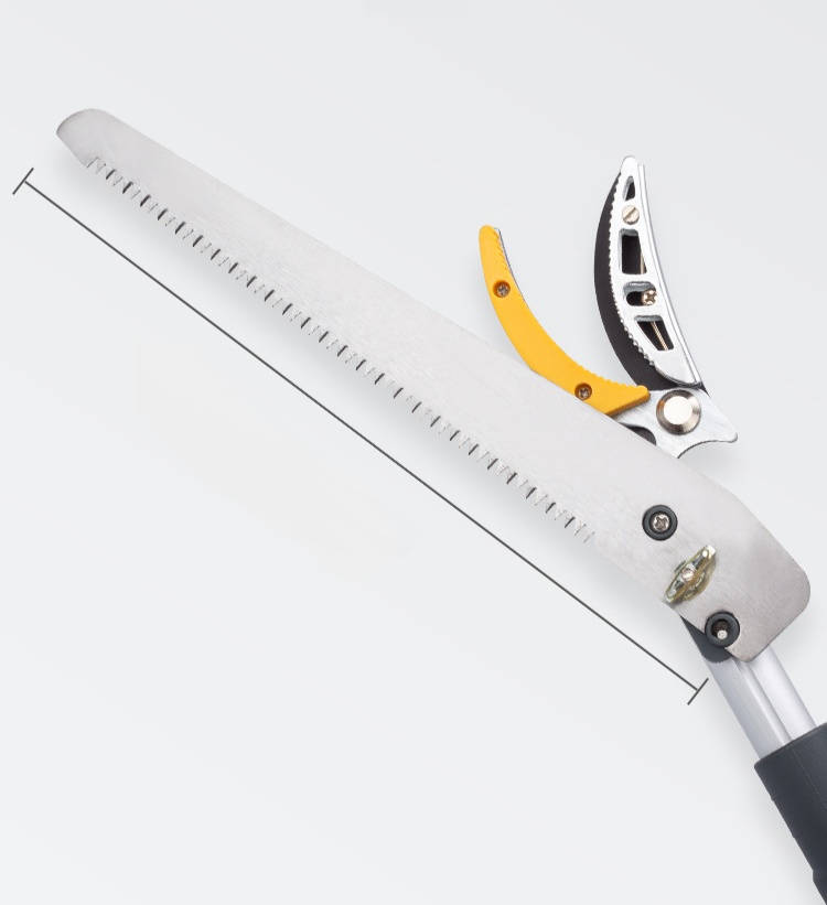 家庭果樹用の便利な摘み取りツール