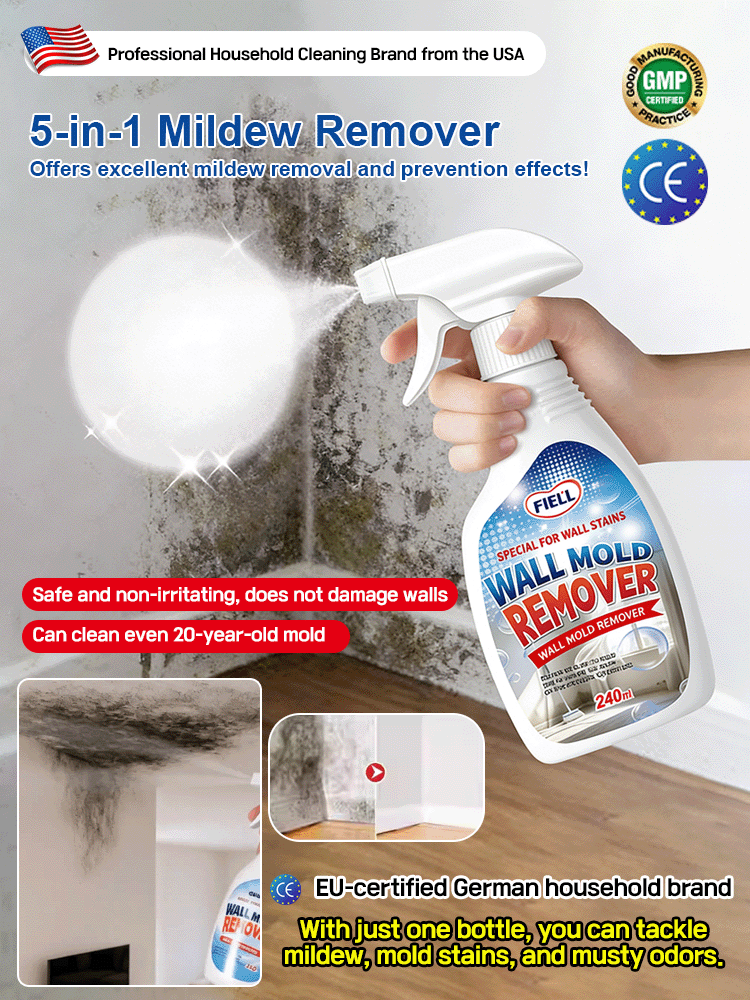 1 Second Wall Mold Removal