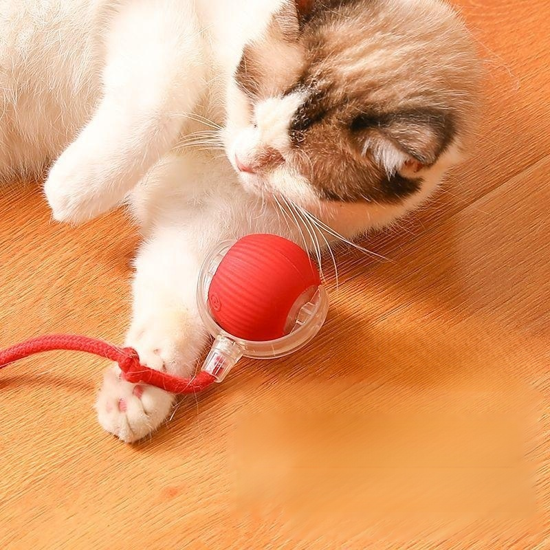 Intelligenter elektrischer Katzenball