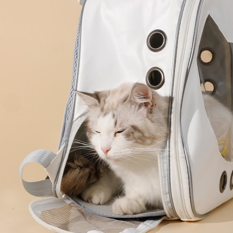 대용량 반투명 고양이 얼굴 반려동물 백팩 휴대용 이동가방