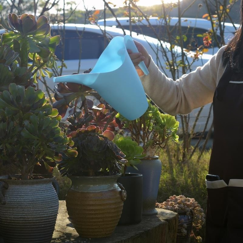 家庭用長い注ぎ口の植物用水差し