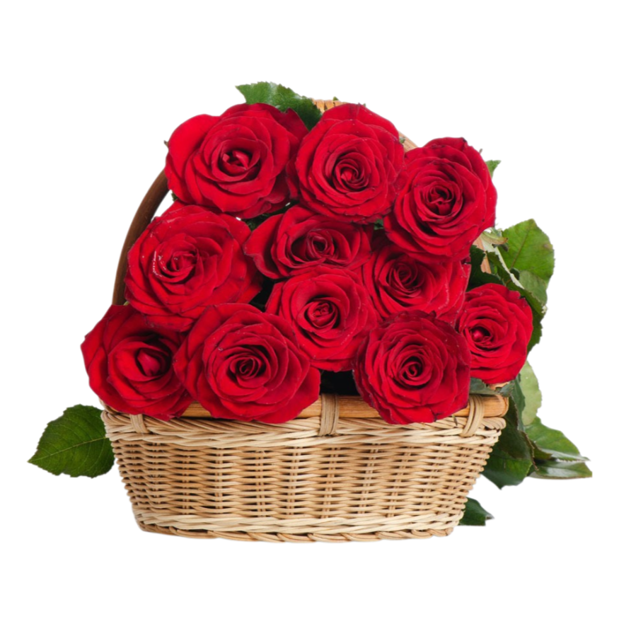 다채로운 장미 화분