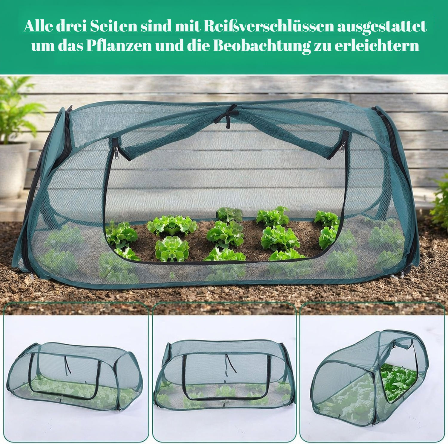 Insektennetz als Schutzabdeckung für Gemüsebeete