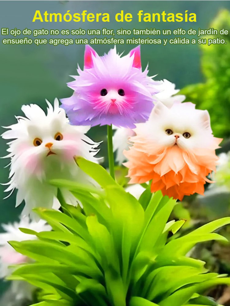 Ojo de Gato Orquídea Misteriosa y Encantadora