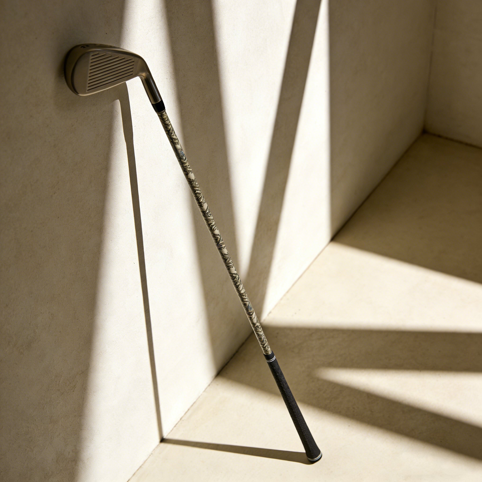 Club de golf professionnel 