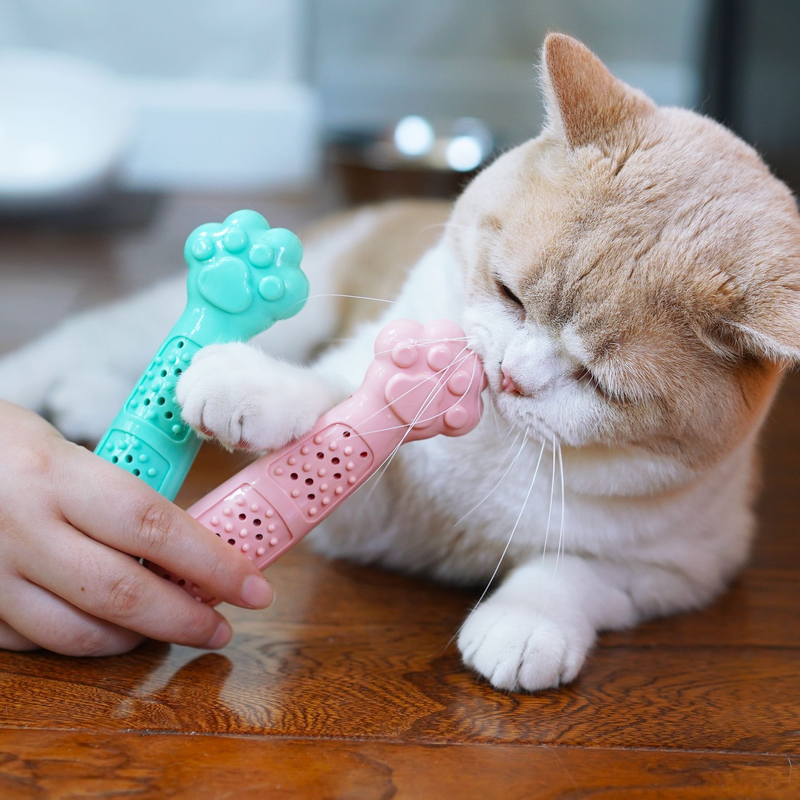 Jouet nettoyant pour dents avec herbe à chat