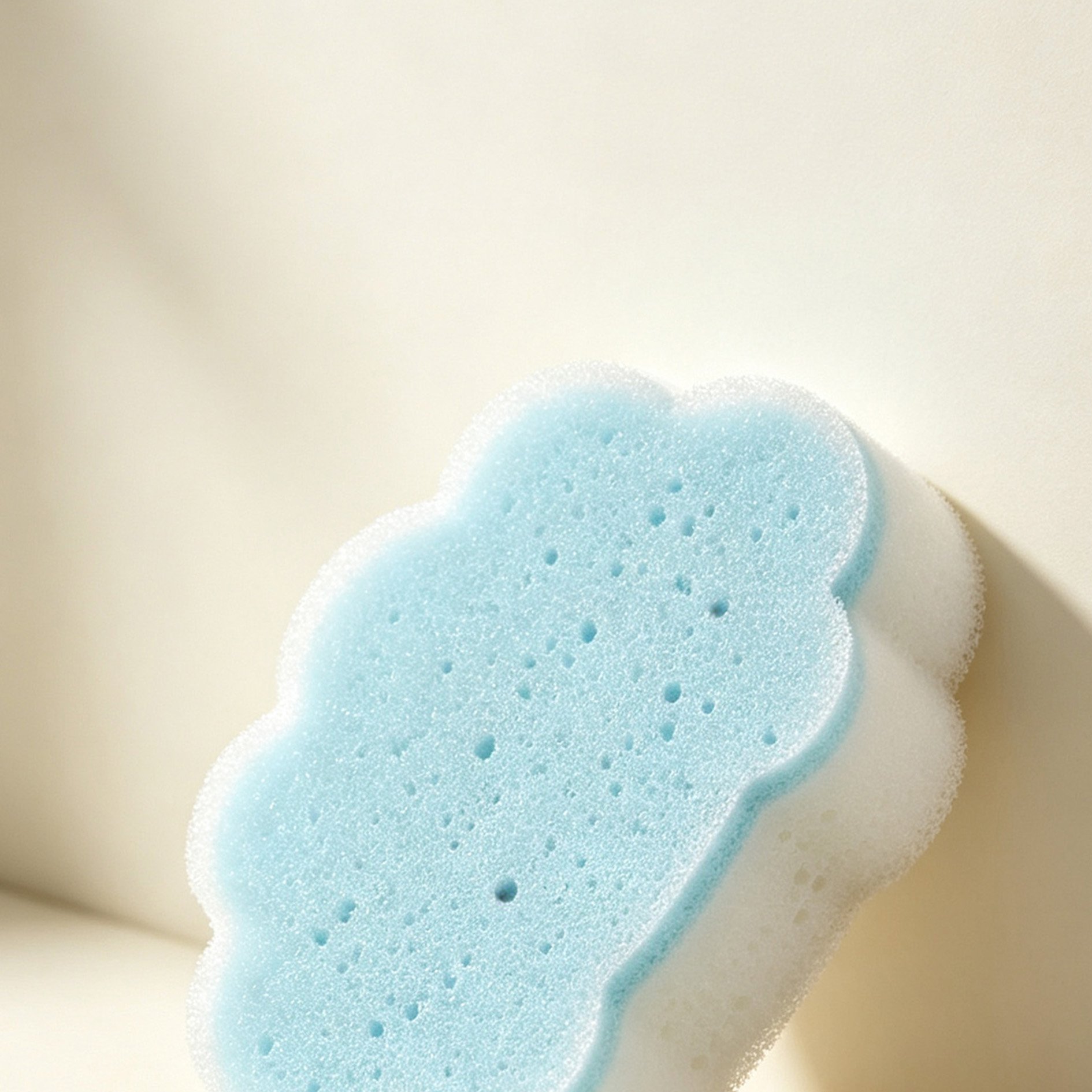 Cloud Two-Color Sponge