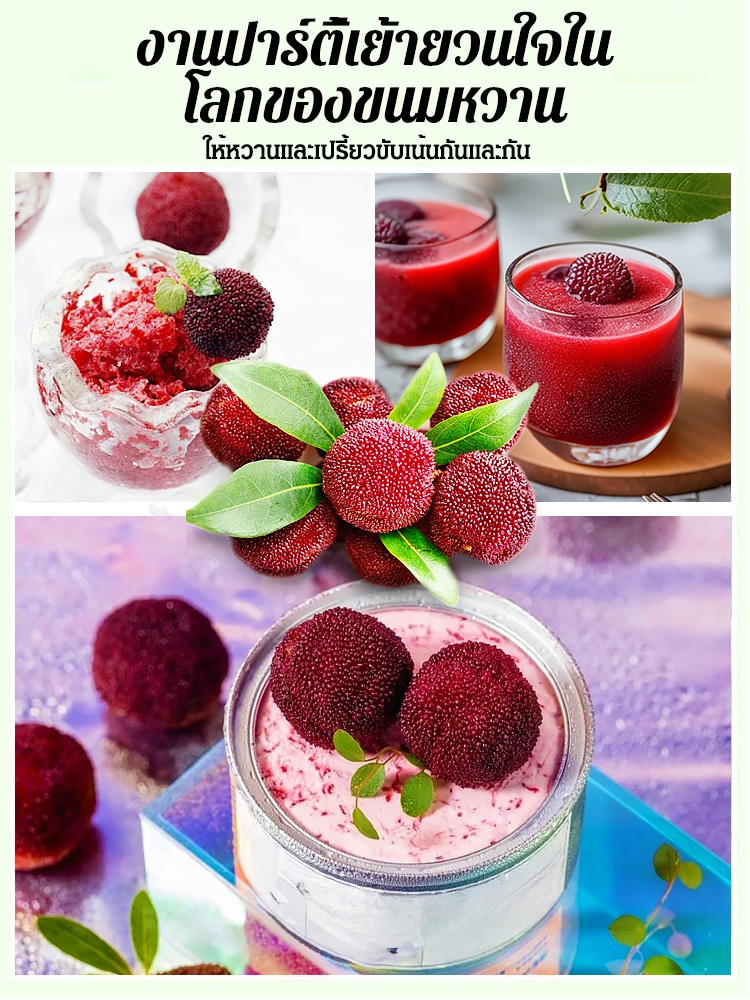 【ผลใหญ่กว่าลูกปิงปอง】เมล็ดหยางเหมยตงขุย