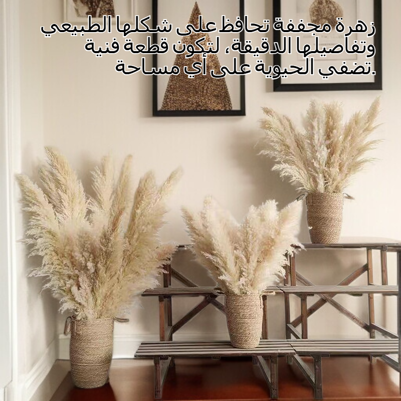 زهرة حمراء مجففة حقيقية للديكور