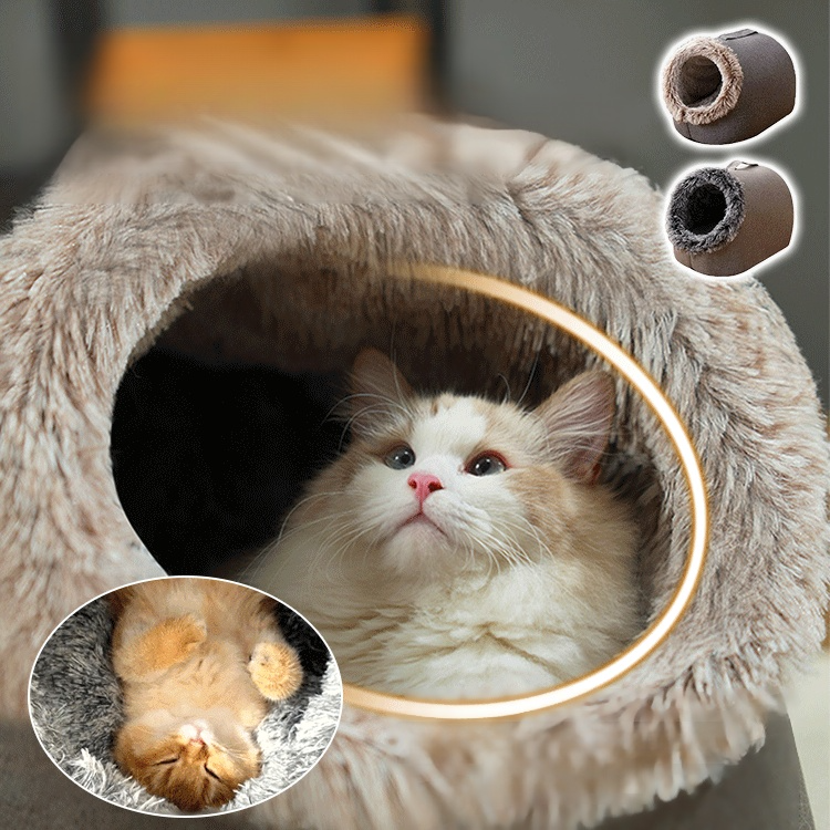 Multifunctional cat and dog house