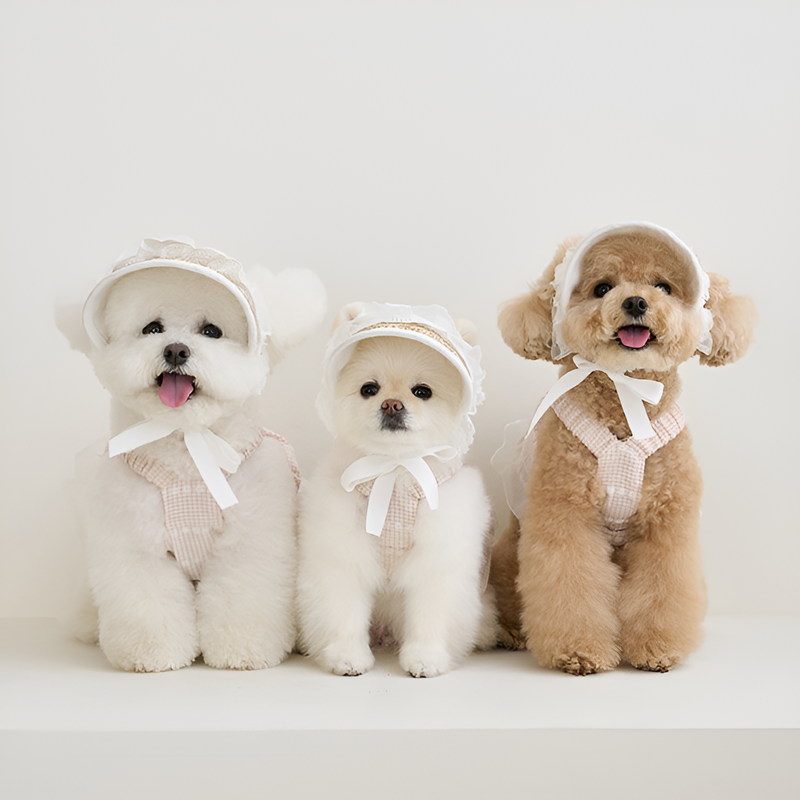 犬や猫に適した麦わら編みの豚鼻帽子