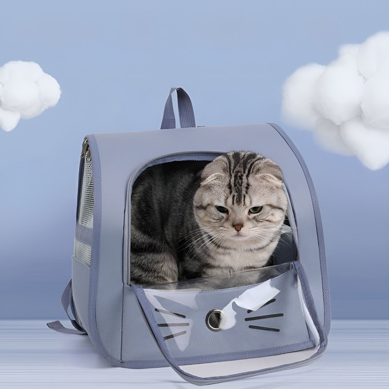 sac de transport pour chat et chien