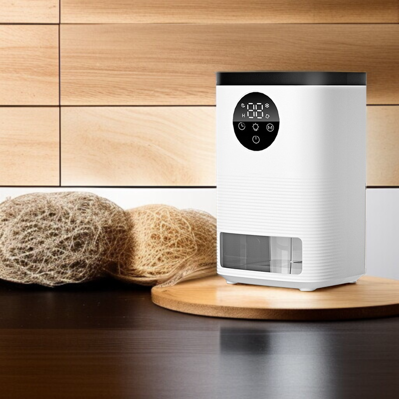 Kleiner tragbarer Luftentfeuchter für Schlafzimmer und Keller im Haushalt