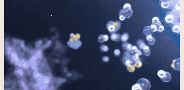 7.gif