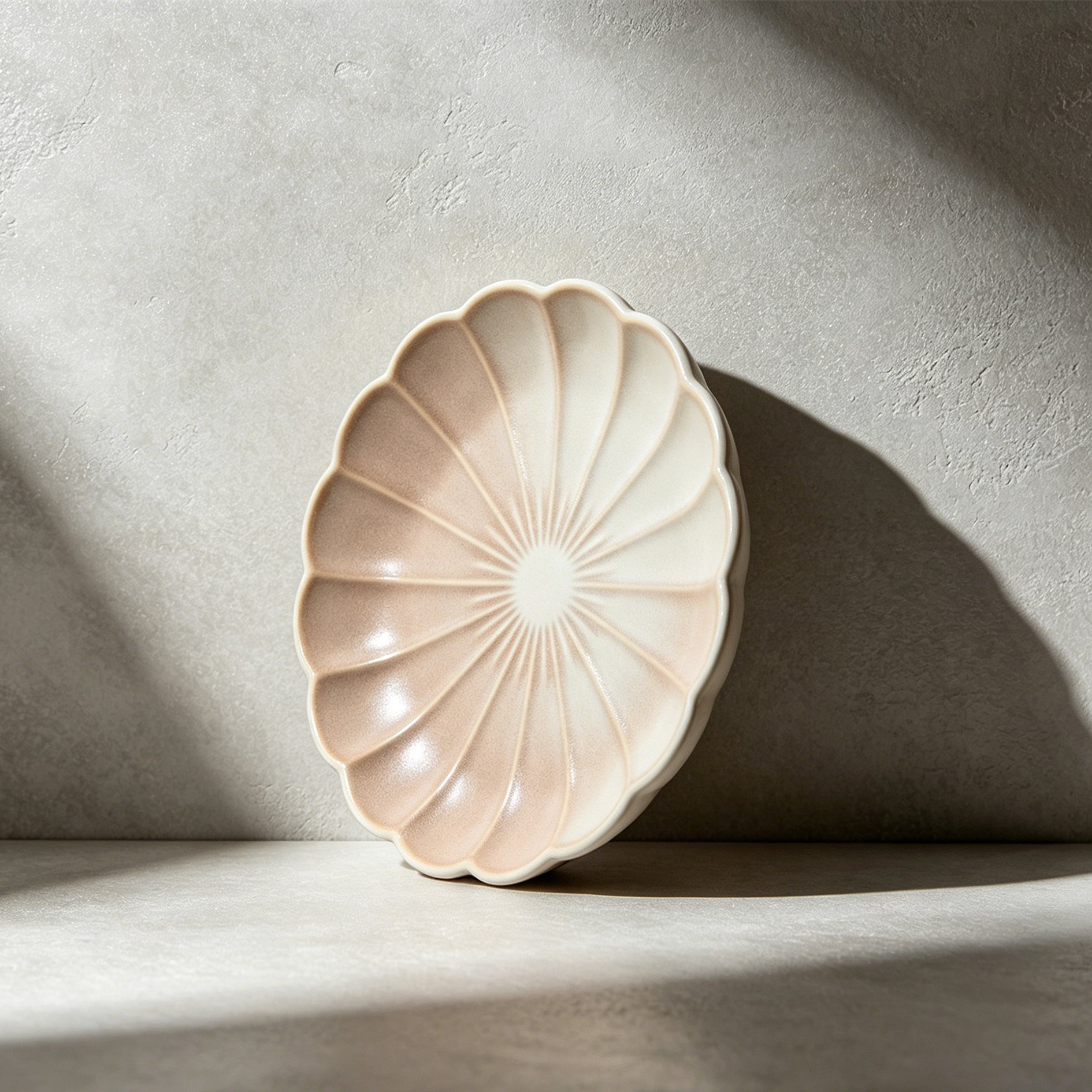 Ceramic Dinner Plates Set of 4
