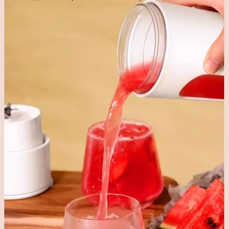 Wiederaufladbarer Entsafter und Mixer