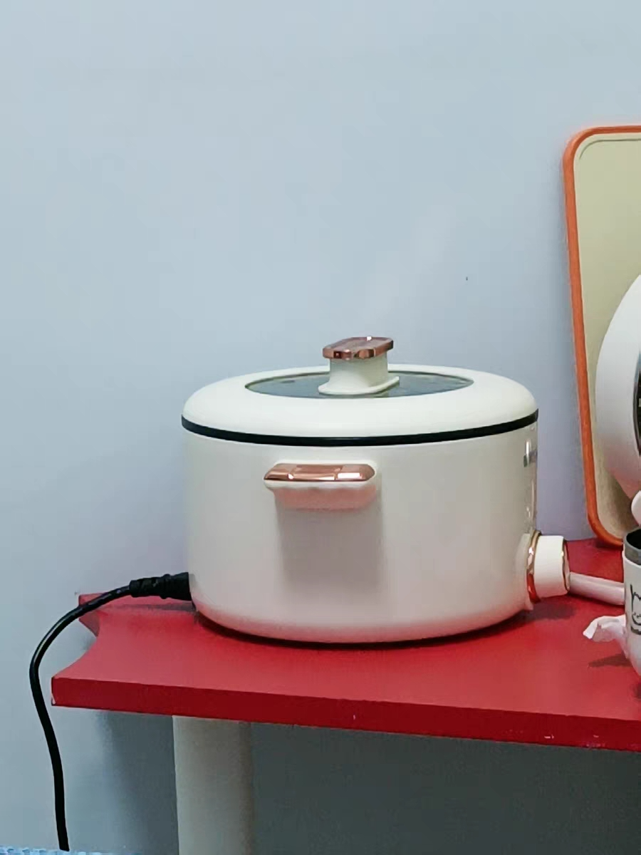 Elektrický vařič s více funkcemi 