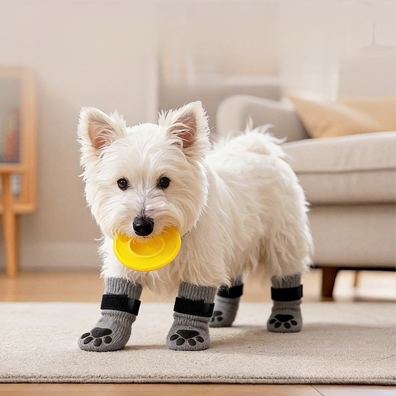 ペット犬用滑り止めソックス