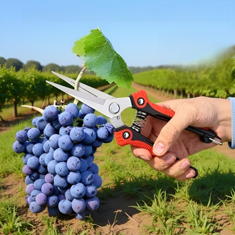 مقص حديقة موفر للجهد لتقليم الفروع