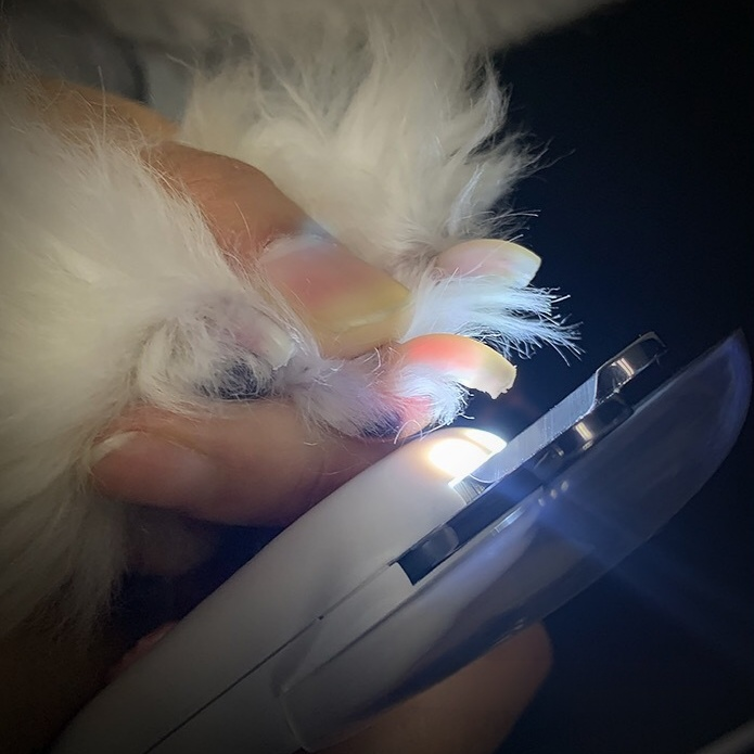 狗狗寵物指甲剪用品 可調發光防血位指甲鉗 貓咪狗狗通用磨甲器 孔徑可調節LED燈光修指甲工具