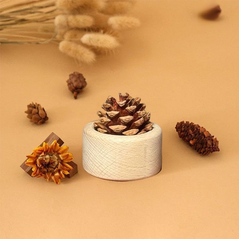 Dekoration mit Kiefernzapfen-Diffusor