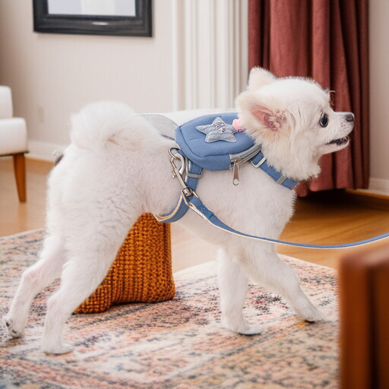 犬の散歩用リードとバックパックのセット