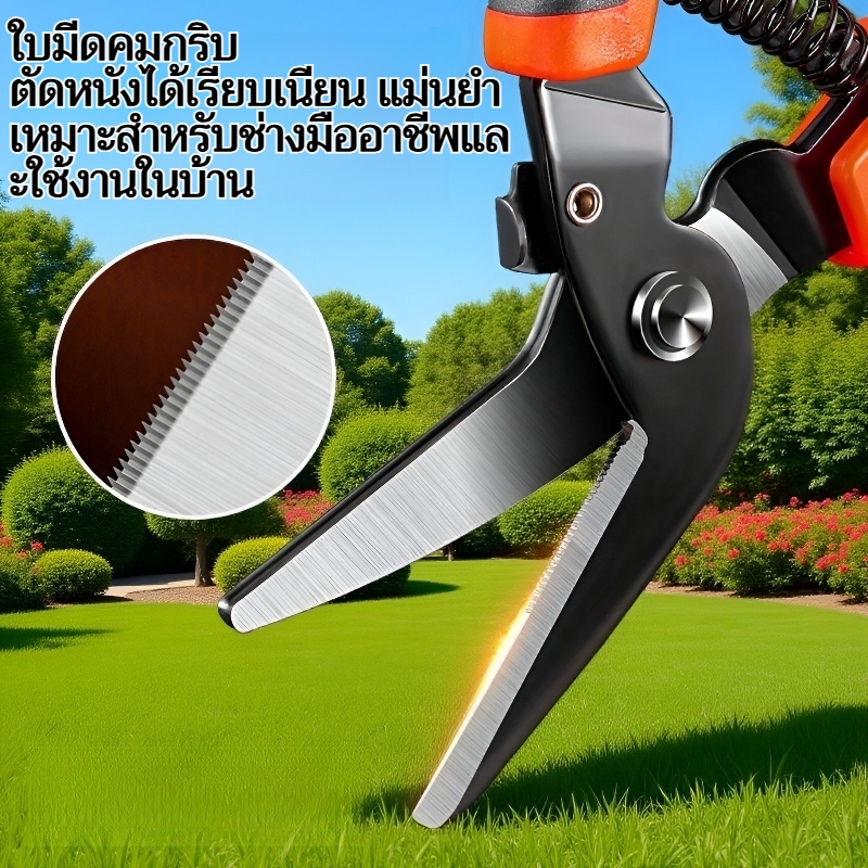 กรรไกรตัดหนังเหล็กกล้าคาร์บอนสูงเกรดอุตสาหกรรม