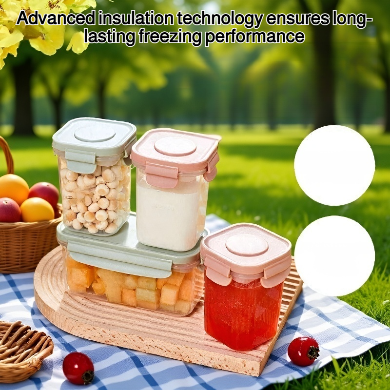 Portable Frozen Storage Box