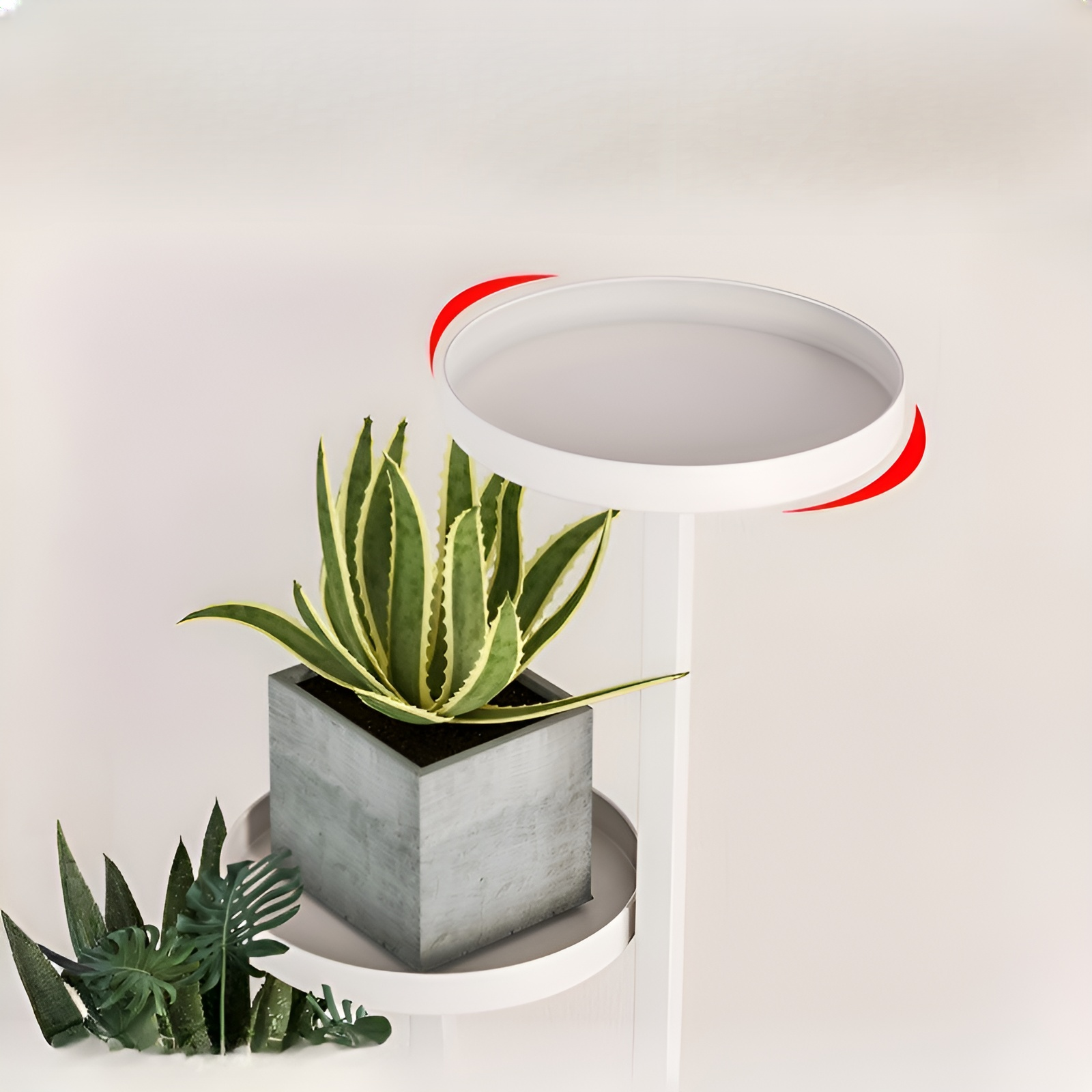 관엽식물 전용 화분 선반