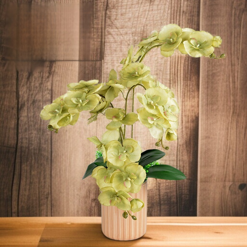 Eight single-branch dummy flowers of Phalaenopsis orchid