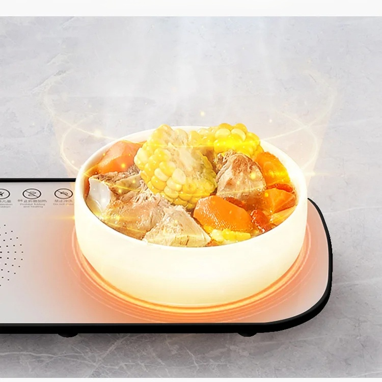 신형 스마트 온도 조절 가열 식판