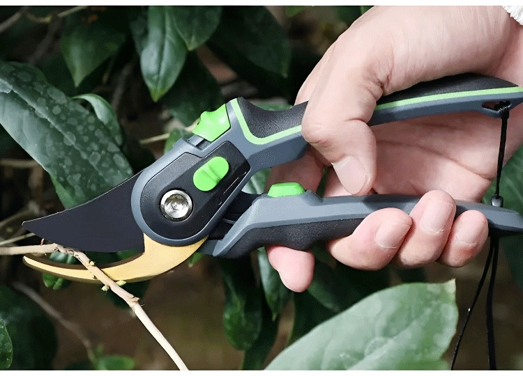 가지치기 작업 전후의 비교 이미지