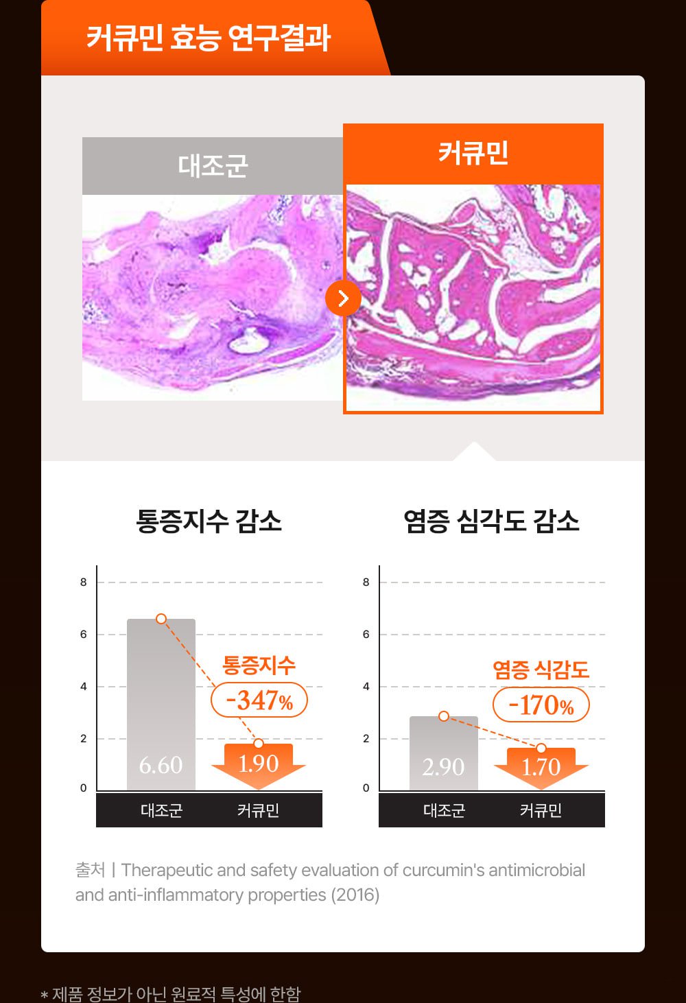 22_tg_om_dog_img (1).jpg