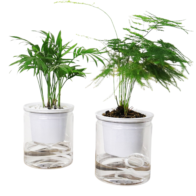 자동 급수 투명 플라워팟