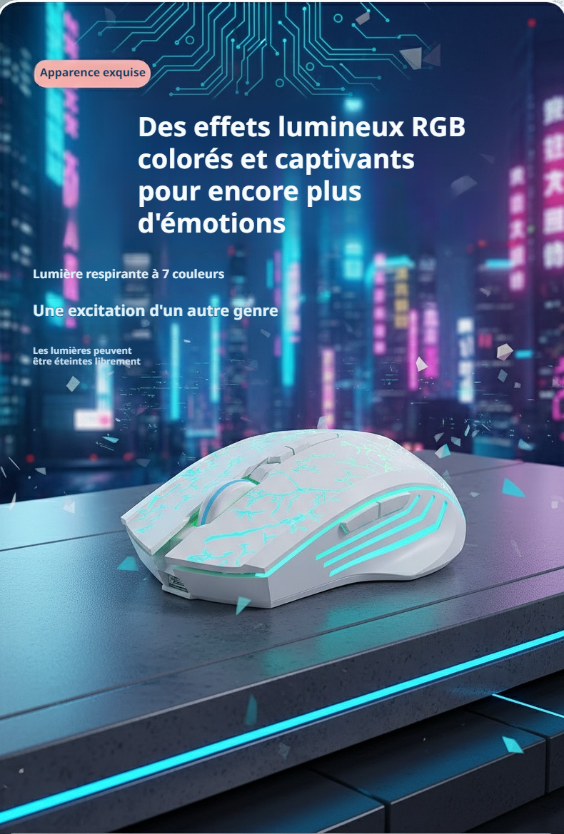 Souris sans fil performante pour ordinateur portable