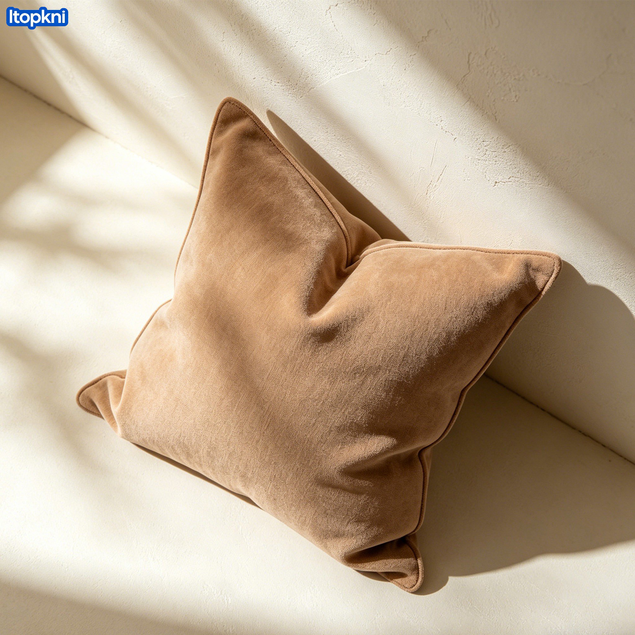 Removable and Washable Sofa Throw Pillow