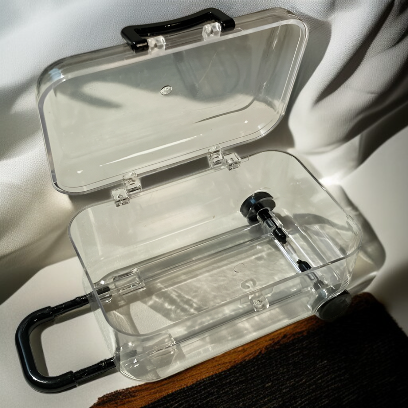 Boîte à bijoux petite valise à roulettes, boîte de rangement transparente mobile