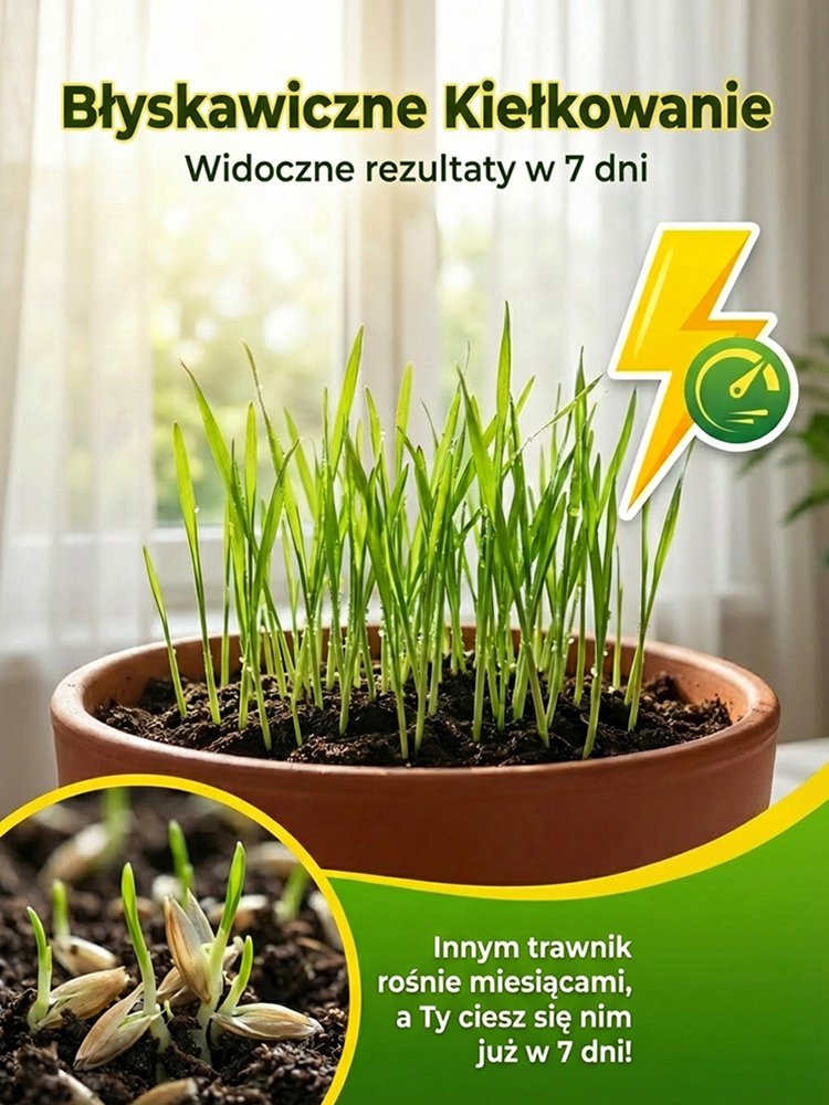 【Kiełkowalność 99%】Całoroczne mrozoodporne nasiona trawy na trawnik
