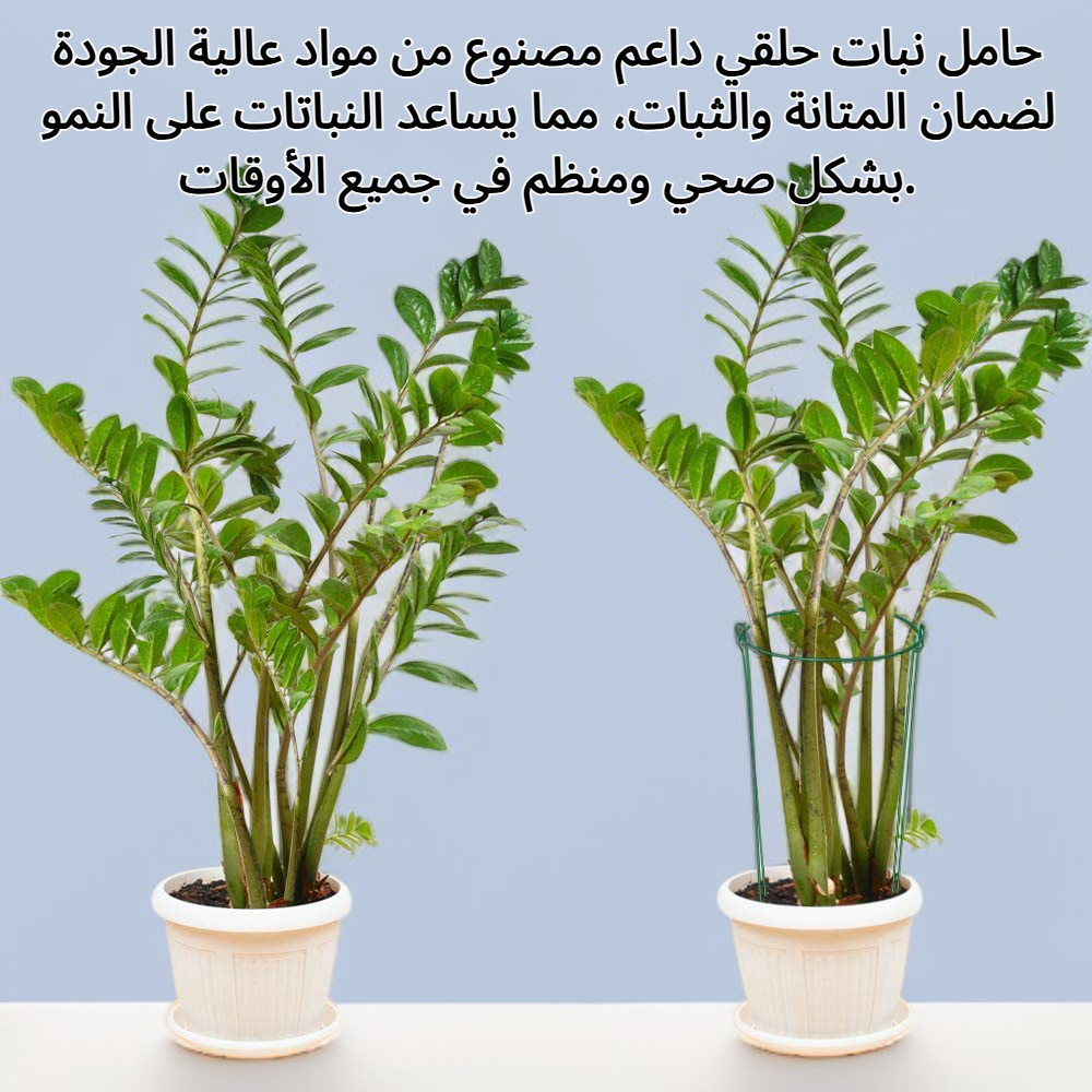 حامل نبات حلقي داعم