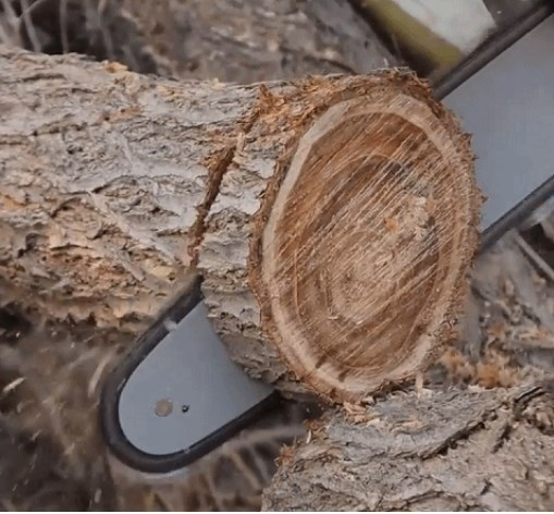 휴대용 충전 미니 목공톱 리튬전기톱 가지치기톱 무선체인톱