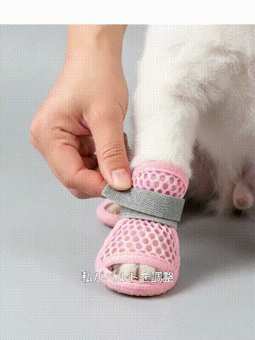 犬用滑り止め・防汚・メッシュスリッパ