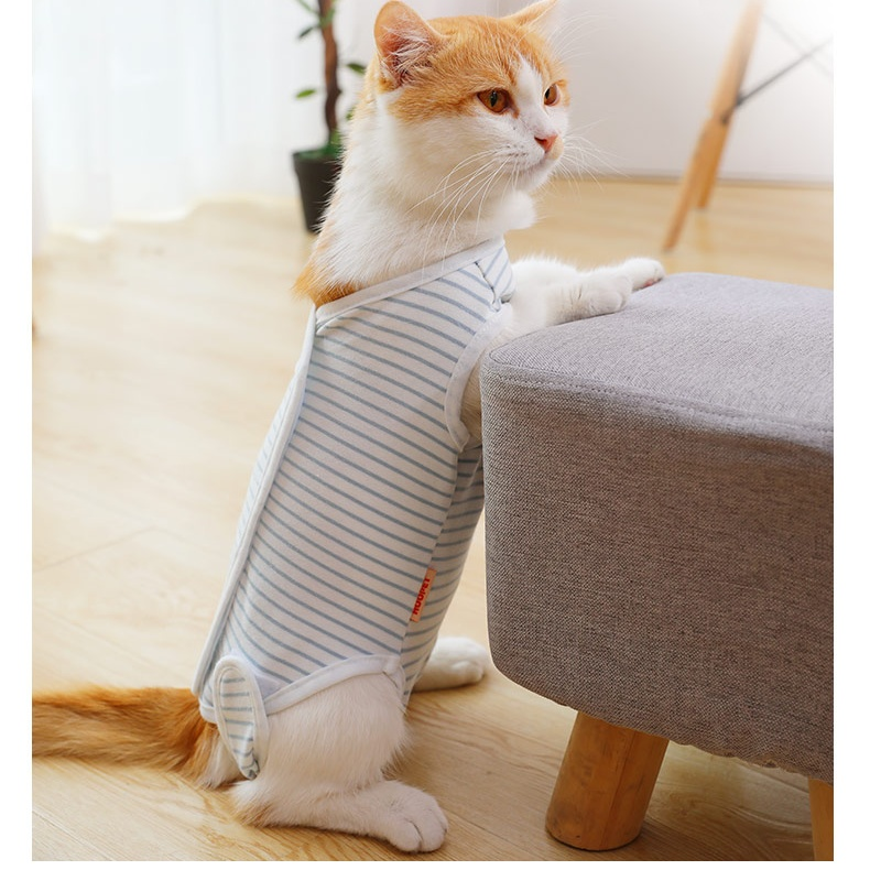 Cat Clothing Four Seasons Thin Edition