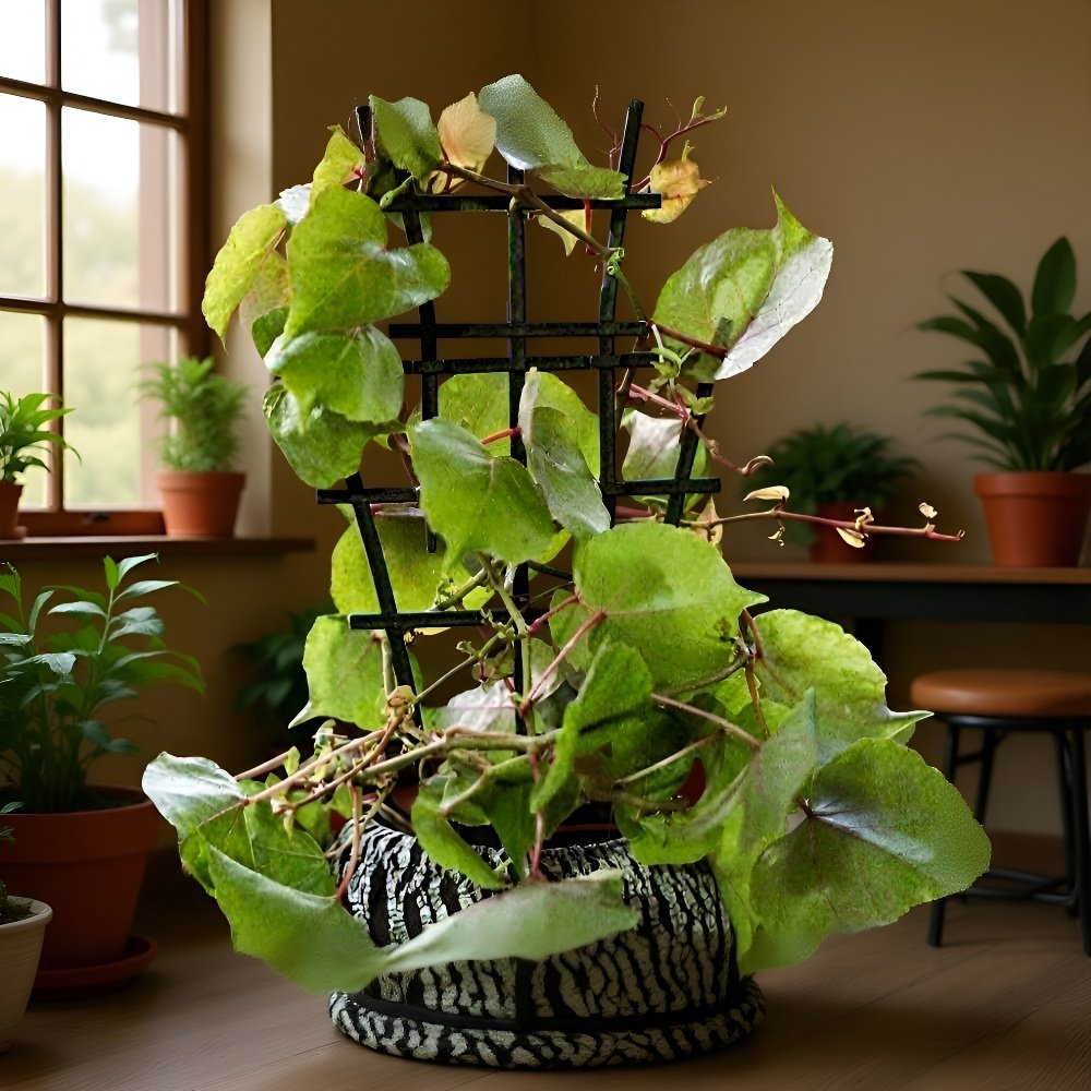 Wetterfester Stützrahmen aus Metall