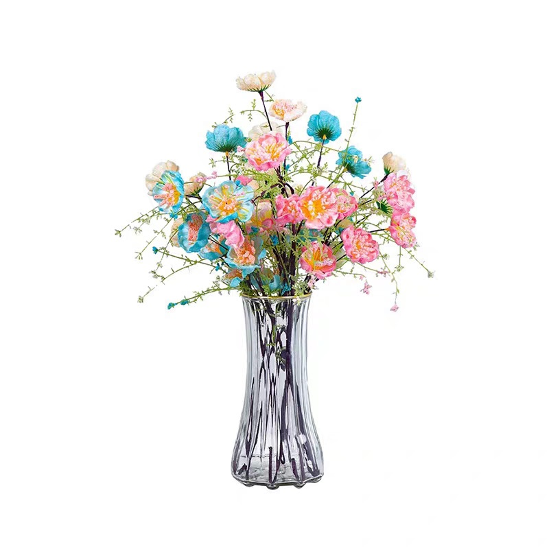 粉蝶花
