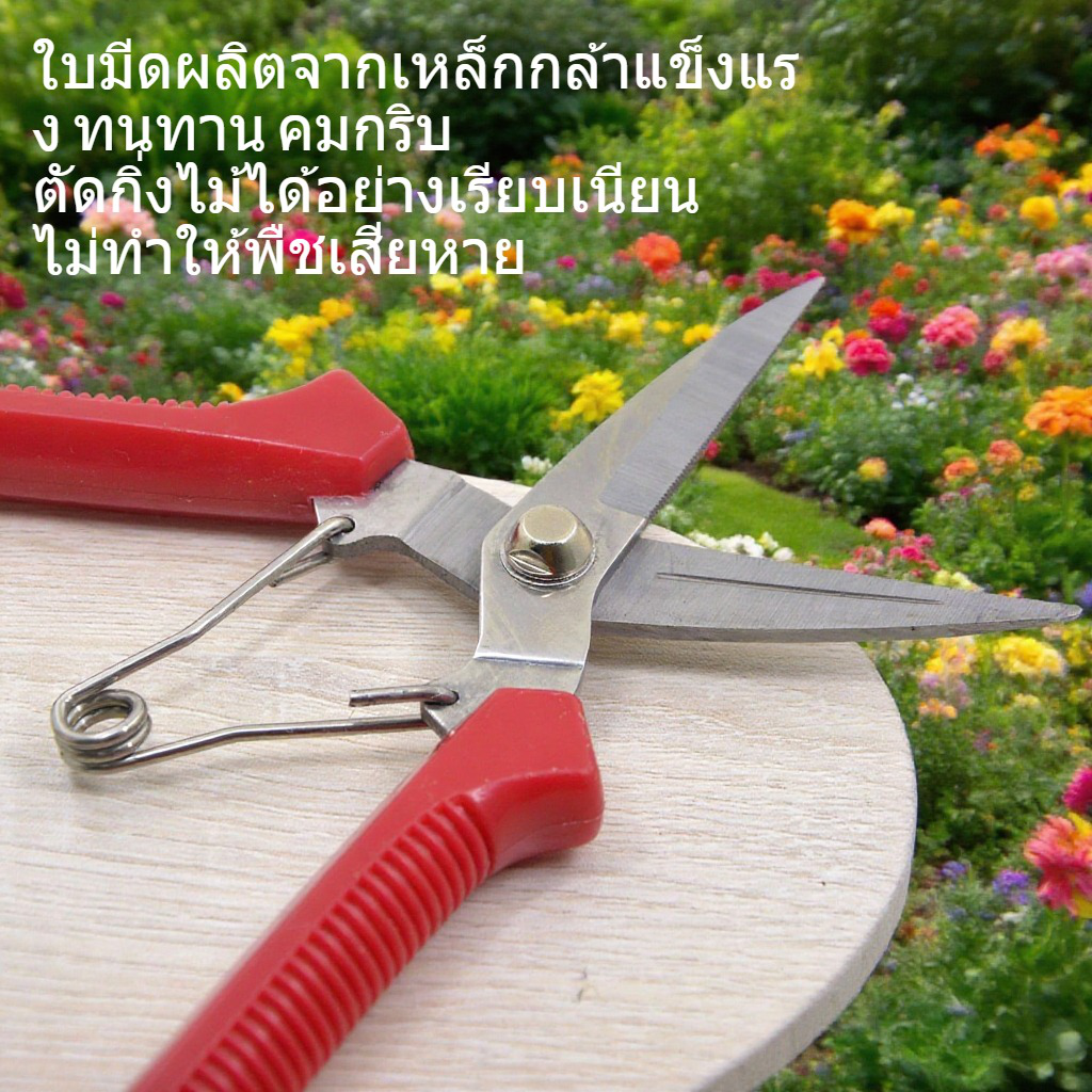 พืชสวนหนากรรไกรตัดแต่งกิ่ง